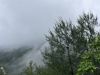 随拍的云利路的云雾，刚下完雨的山很仙气飘飘