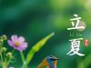 春天的脚步渐渐远去，立夏时节悄然无声地到来，预示着