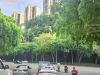云阳的树木真茂盛，没多久又要修剪一下才得行