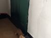 有人要领养小猫咪吗 才一个多月 具体可以加微信联系