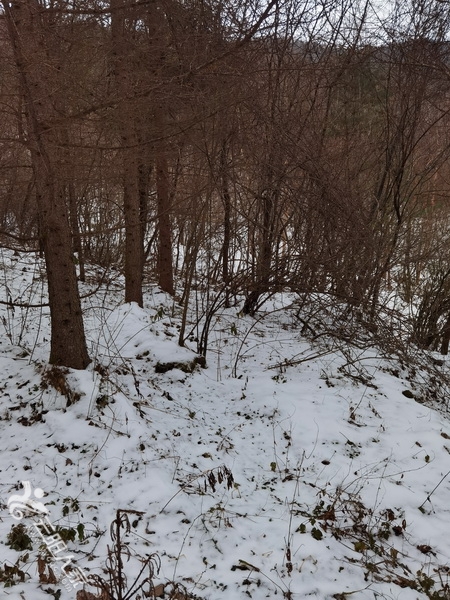 IMG_20210102_104814.jpg