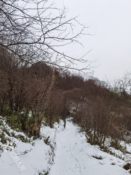 IMG_20210102_121640.jpg