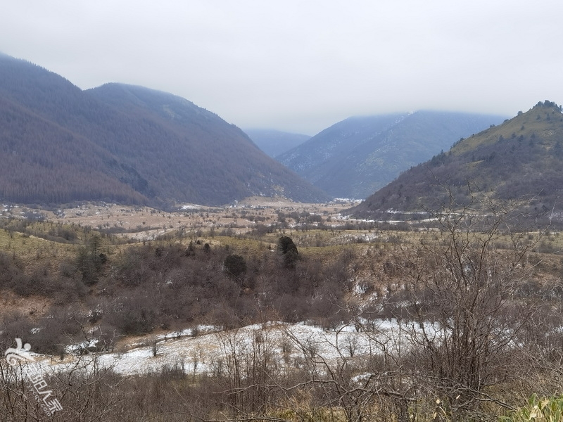 IMG_20210102_121825.jpg
