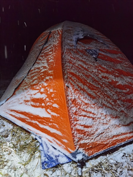 IMG_20210103_064846.jpg