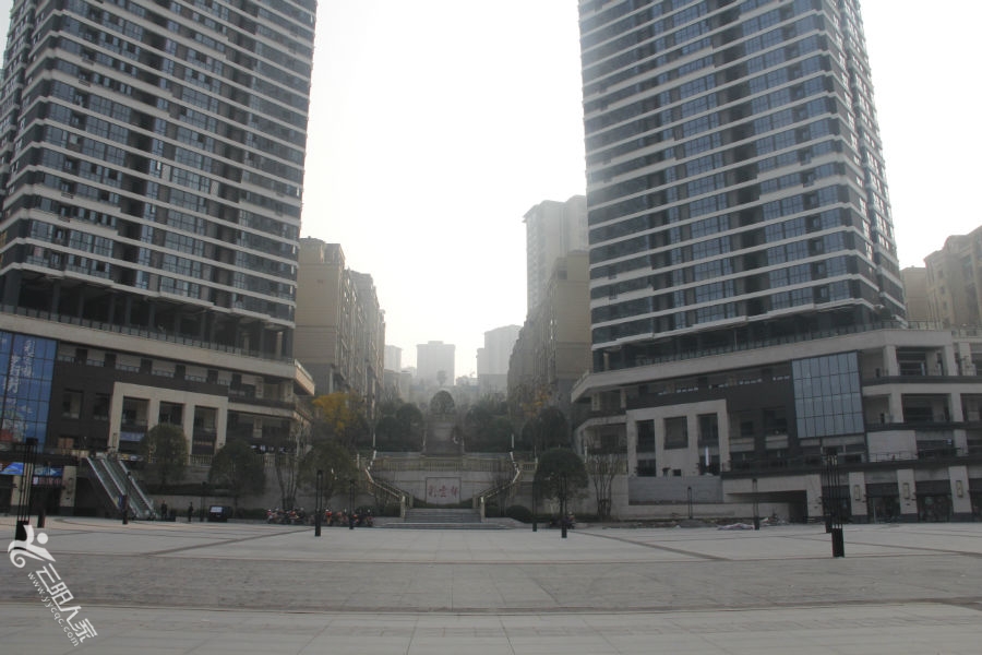 _MG_0015.JPG