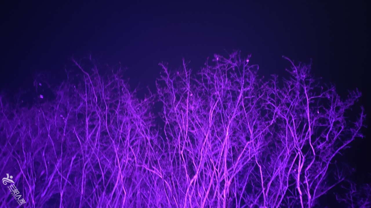 front2_0_Fm-MZPLejvmgmL8b8y1rOOyaaYsG.1610528631.jpg