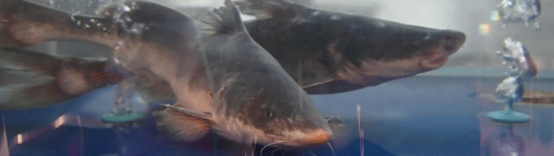 7b381d68ef8069eacdd0996051684466.gif