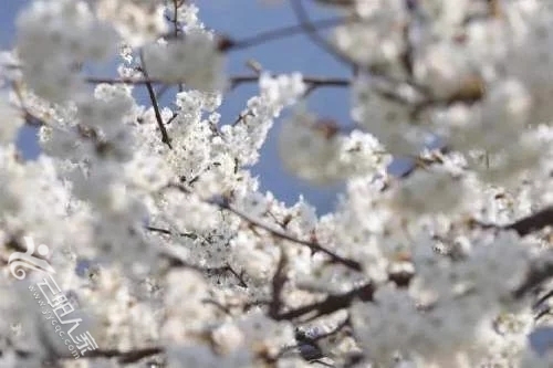 t01f7d4d548f9b5abd1.webp.jpg