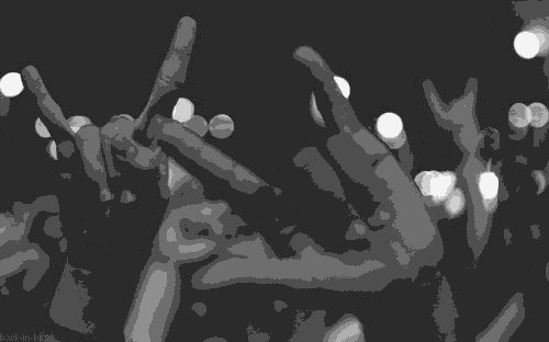30bd020b39d5fc37ba0613cd76a6e71b.gif