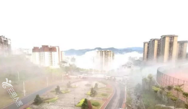 微信图片_20210403144443.png
