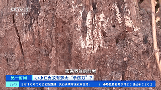 0173e685c57bb65584ffe525aecbc284.gif
