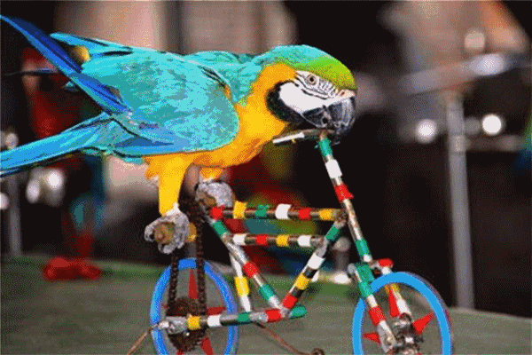 2605e8607c355dd13e98e3cec04c0469.gif