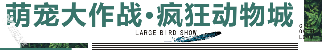 ff59c6024d0ea7b5a7abb5b16998ced5.png