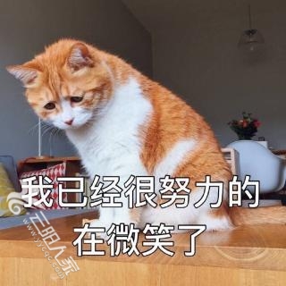 src=http___cdnimg103.lizhi.fm_audio_cover_2017_05_19_2602698126466015751_320x320.jpg