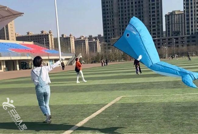 网络图