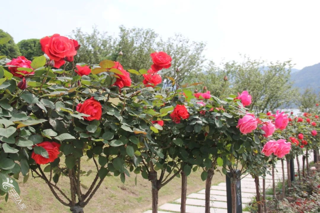 f5d62acaad5103b75e504d4c459b0530.jpg