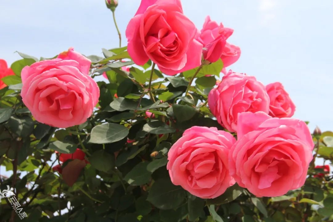 d6d82a021b6f8a1d45fb2960ada7cded.jpg