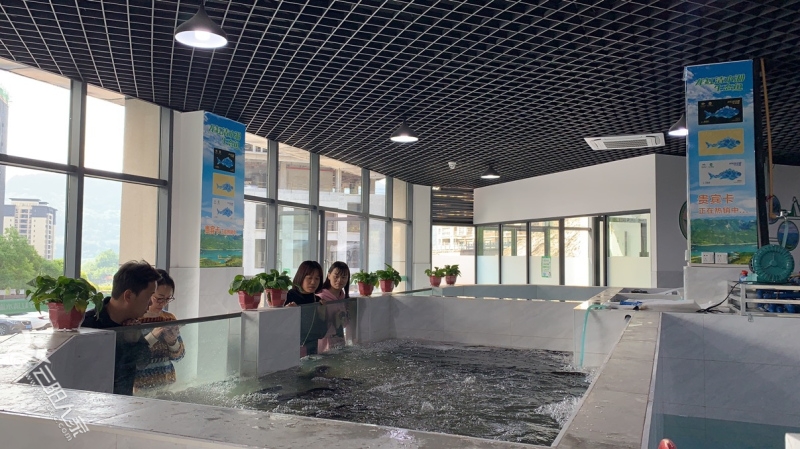 微信图片_202104121653111.jpg