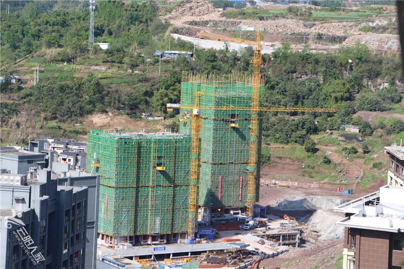 四季阳光7.JPG