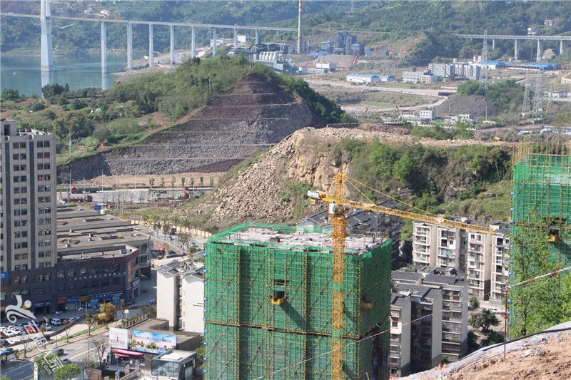 四季阳光.JPG