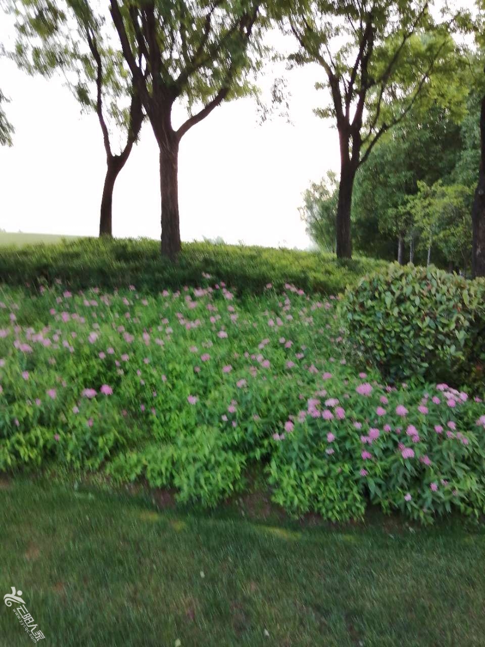 20210508_431742_1620471273904.jpg