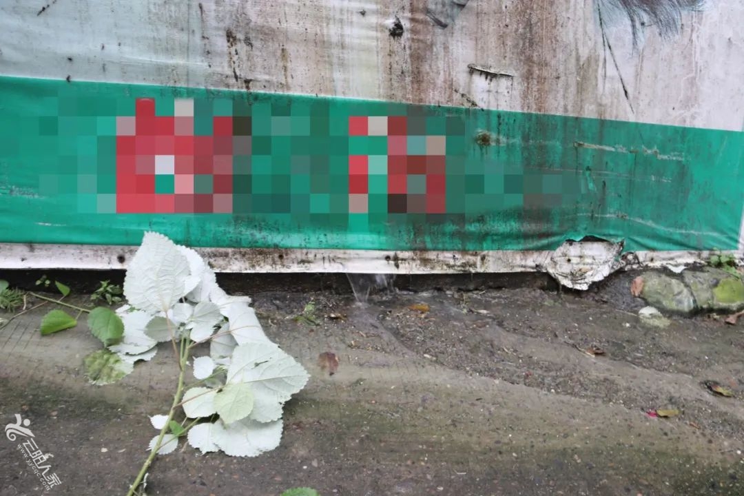 fffd17b4bbdffdfa5d2fa1a202cf20f3.jpg
