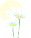 a255aa3c5a5fea28b062ed44440301c2.png