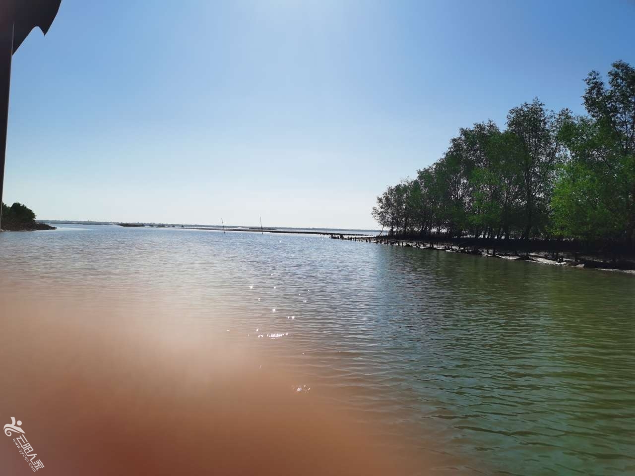 20210520_449874_1621500828543.jpg