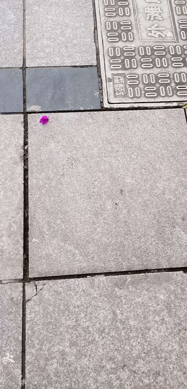 20210526_387293_1622022684082.jpg