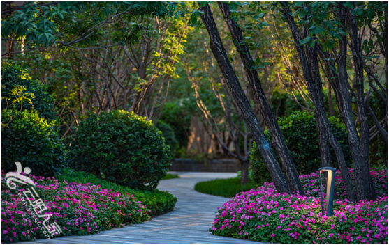 d11e9a86050b27b833ecdb72f45f02a8.png