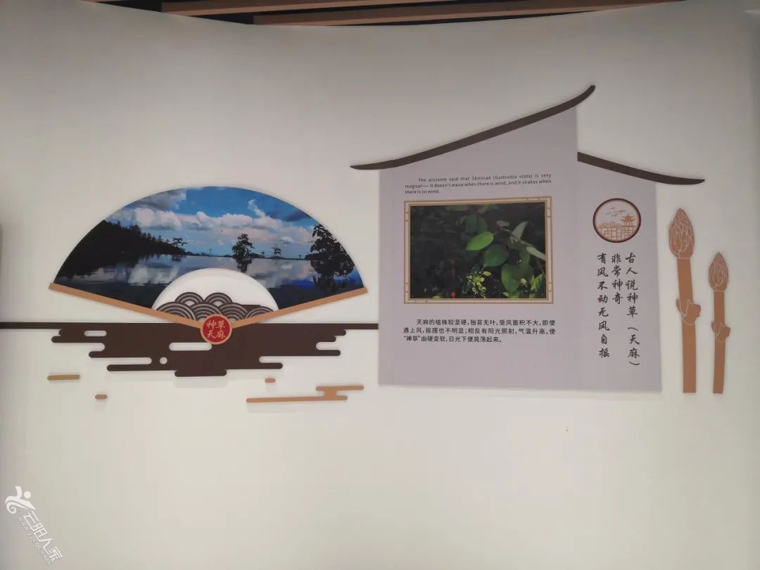 ff74f3c7968e41c3dada8a926b962c63.jpg