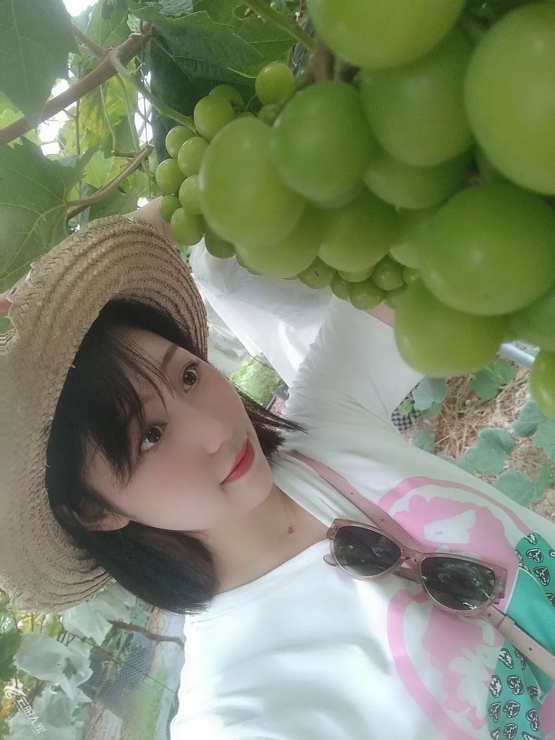 f16d9bc589c8495edb1a0cc11df56c7a.jpg