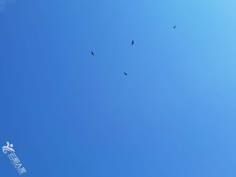 IMG_20210911_110531_调整大小.jpg