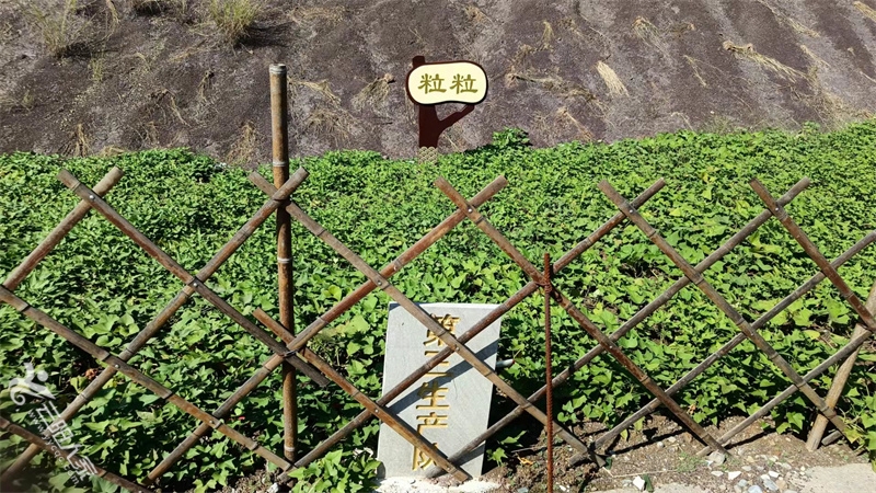 微信图片_20211009144711.jpg