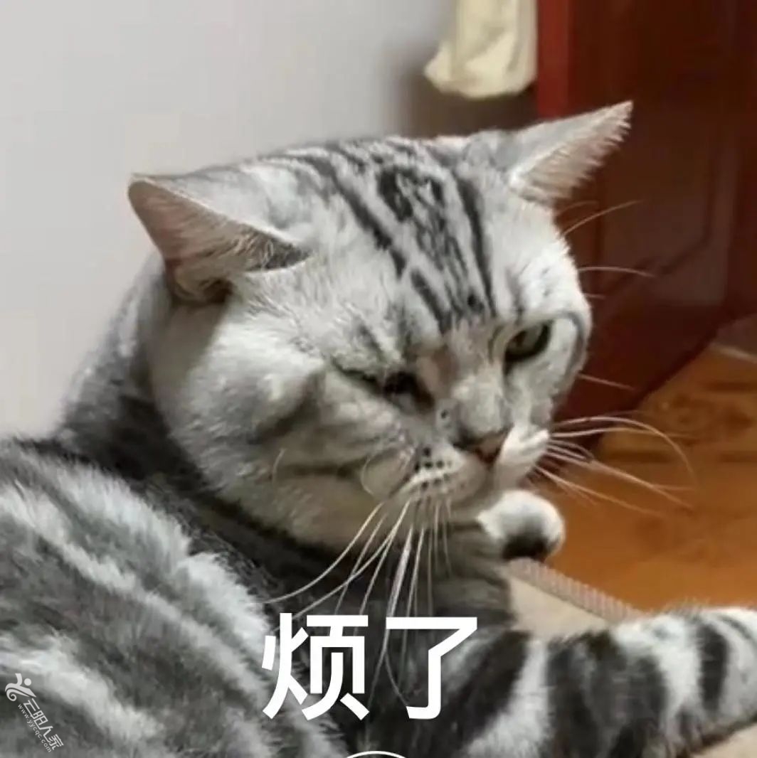 a25e6e8b9b1e095570a29ef7bd9ebc6d.jpg