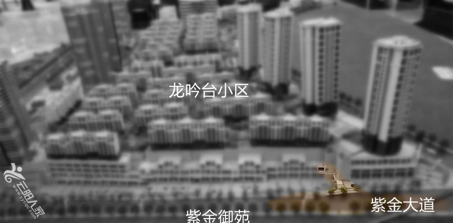 在彩云梯步行街8区的位置标注