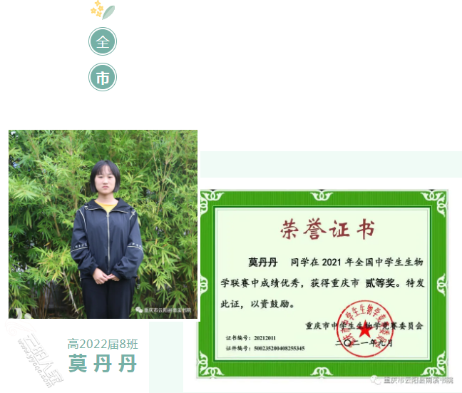 88675fb6e55c45a8683ce9b0e606b51.png