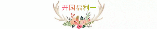 86472b765b39559976038a6eeee1480d.gif