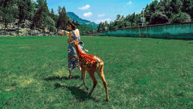 018a06a9c33108e53795661253cf21e4.gif