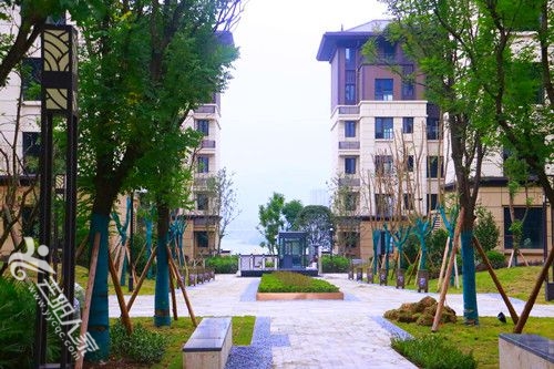 _MG_4505.JPG