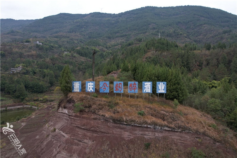 DJI_0287.JPG