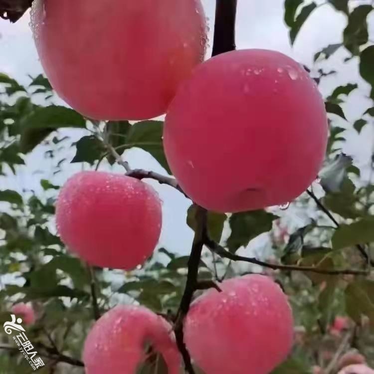 微信图片_20211231175237.jpg