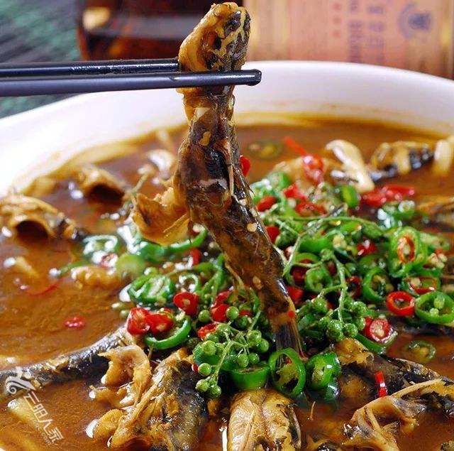 高阳黄腊丁