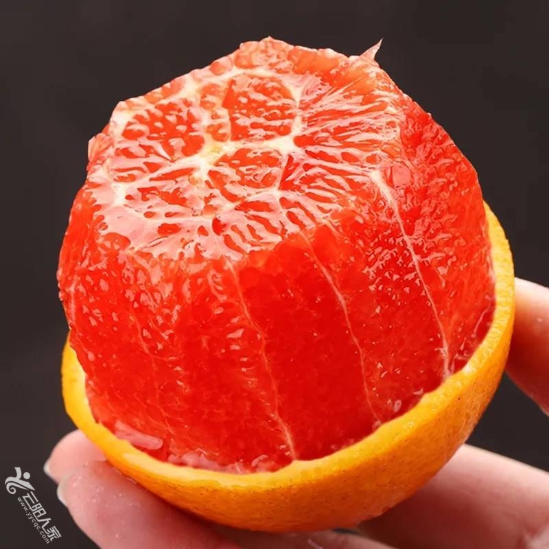 高阳乐公红橙