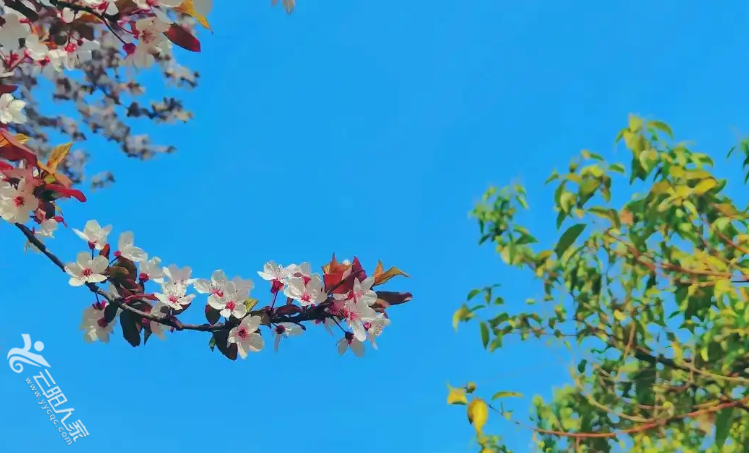 QQ截图20220321110709.png