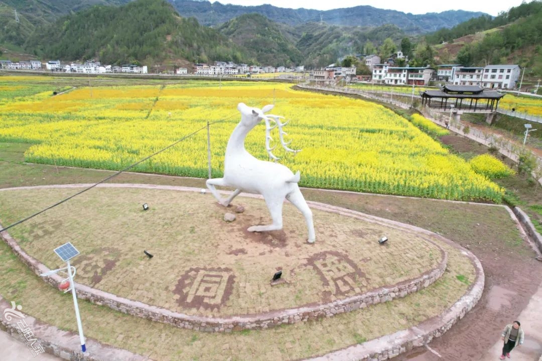 ae765584ae2cb3d7552c418e0d43a6bd.jpg