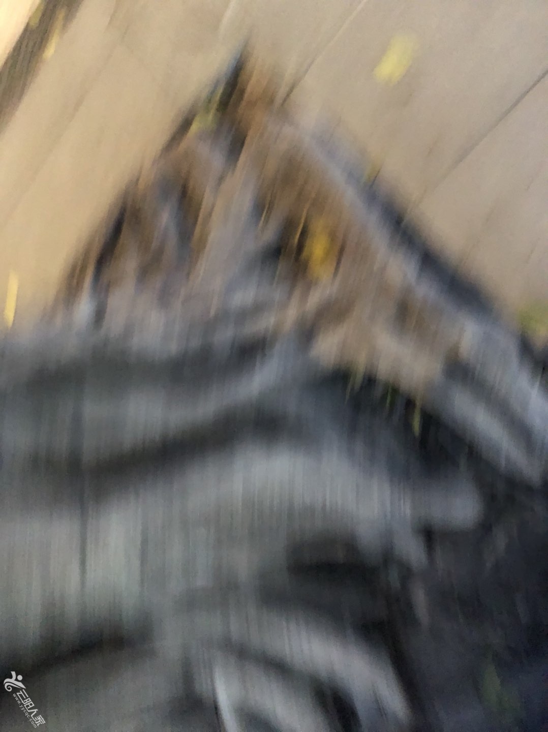20220401191513front1_0_446154_FiBPY-pqLcAX0xpg93zaFyMVvpSQ.jpg