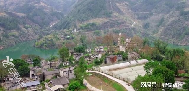 下载 (1).jpg