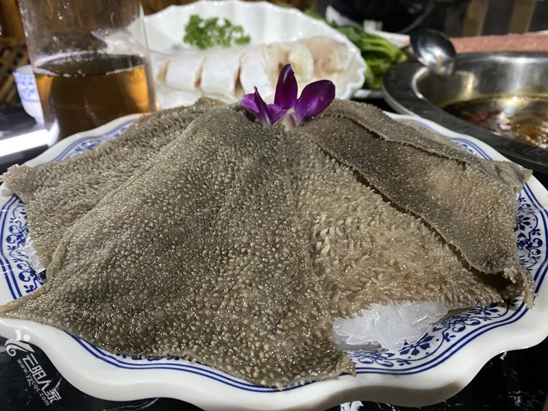 微信图片_202204171734434.jpg