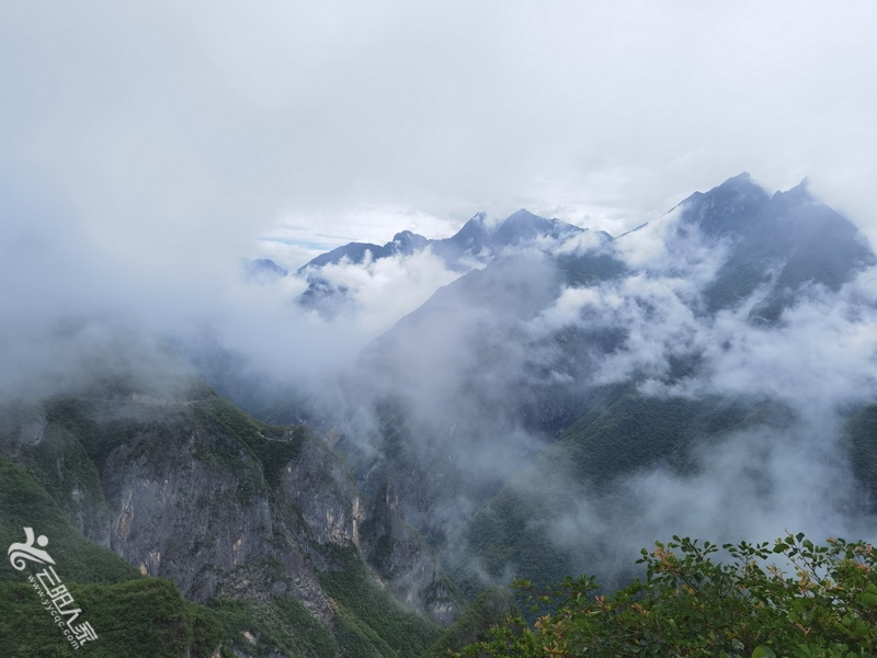 IMG_20220605_115659.jpg